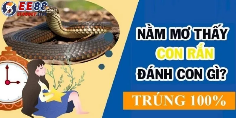 Nằm mơ thấy rắn đánh con gì?